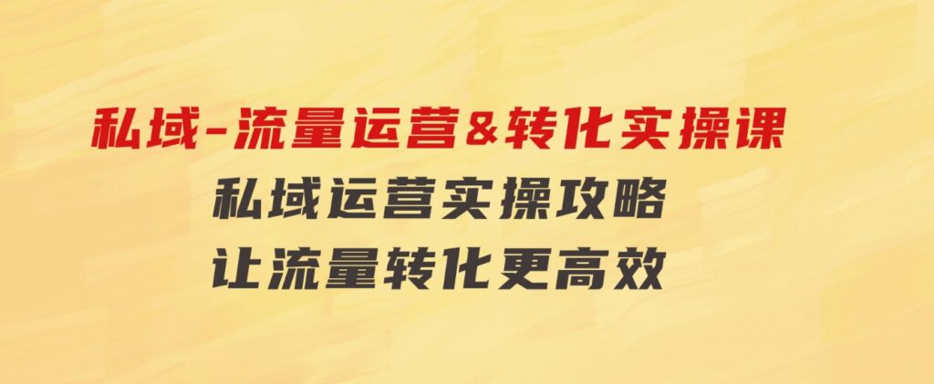 私域-流量运营&转化实操课：私域运营实操攻略让流量转化更高效-财仔梦想资源网