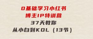 0基础学习小红书博主IP特训营，37天教你从小白到KOL（13节）-财仔梦想资源网