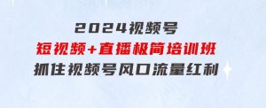 2024视频号·短视频+直播极简培训班：抓住视频号风口，流量红利-财仔梦想资源网
