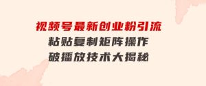 视频号最新创业粉引流，粘贴复制矩阵操作，破播放技术大揭秘-财仔梦想资源网