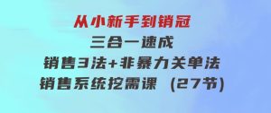 从小新手到销冠三合一速成：销售3法+非暴力关单法+销售系统挖需课(27节)-财仔梦想资源网