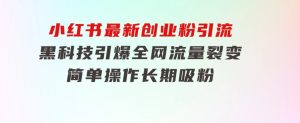 小红书最新创业粉引流，黑科技引爆全网流量裂变，简单操作长期吸粉-财仔梦想资源网