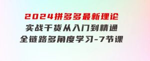 2024拼多多最新理论+实战干货，从入门到精通全链路多角度学习-7节课-财仔梦想资源网
