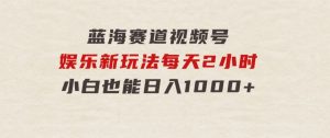 蓝海赛道视频号娱乐新玩法每天2小时小白也能日入1000+-财仔梦想资源网