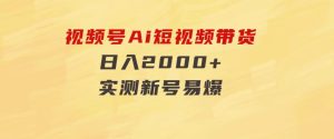 视频号Ai短视频带货，日入2000+，实测新号易爆-财仔梦想资源网