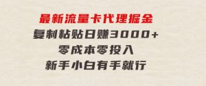 最新流量卡代理掘金，复制粘贴日赚3000+，零成本零投入，新手小白有手就行-财仔梦想资源网