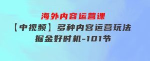 海外内容运营课【中视频】多种内容运营玩法风口正当时掘金好时机-101节-财仔梦想资源网