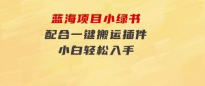 蓝海项目小绿书，配合一键搬运插件，小白轻松入手-财仔梦想资源网