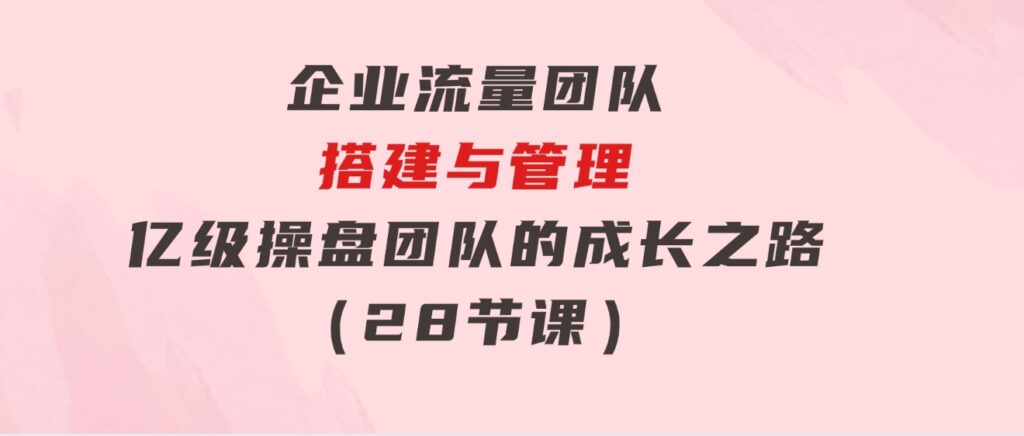 企业流量团队-搭建与管理，亿级操盘团队的成长之路（28节课）-财仔梦想资源网