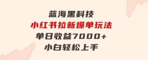 蓝海黑科技，小红书拉新爆单玩法，单日收益7000+，小白轻松上手-财仔梦想资源网