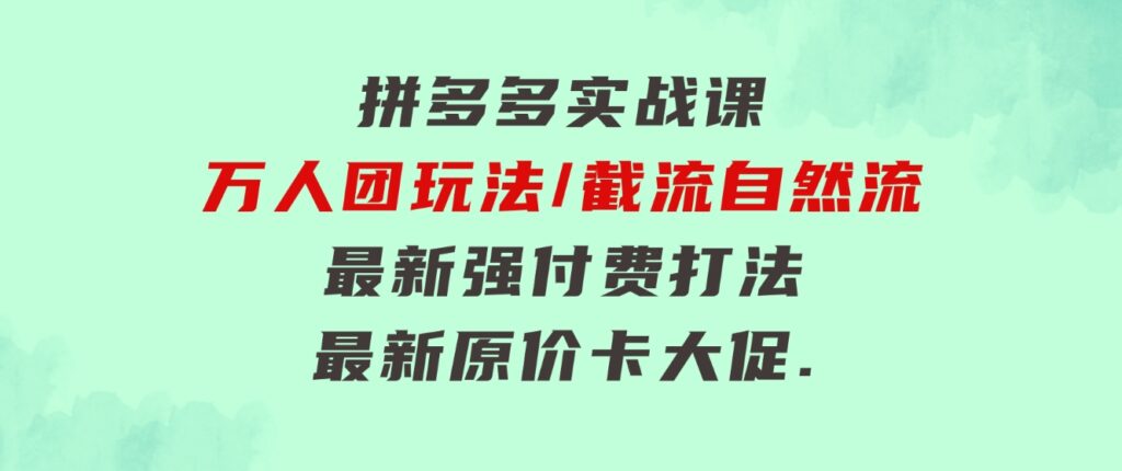 拼多多·实战课：万人团玩法/截流自然流/最新强付费打法/最新原价卡大促..-财仔梦想资源网