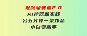 视频号赛道2.0：AI神器新实践！另辟蹊径！五分钟一条作品，小白变高手…-财仔梦想资源网