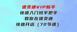 速卖通-VIP新手快速入门班，手把手教你在速卖通快速开店（72节课）-财仔梦想资源网