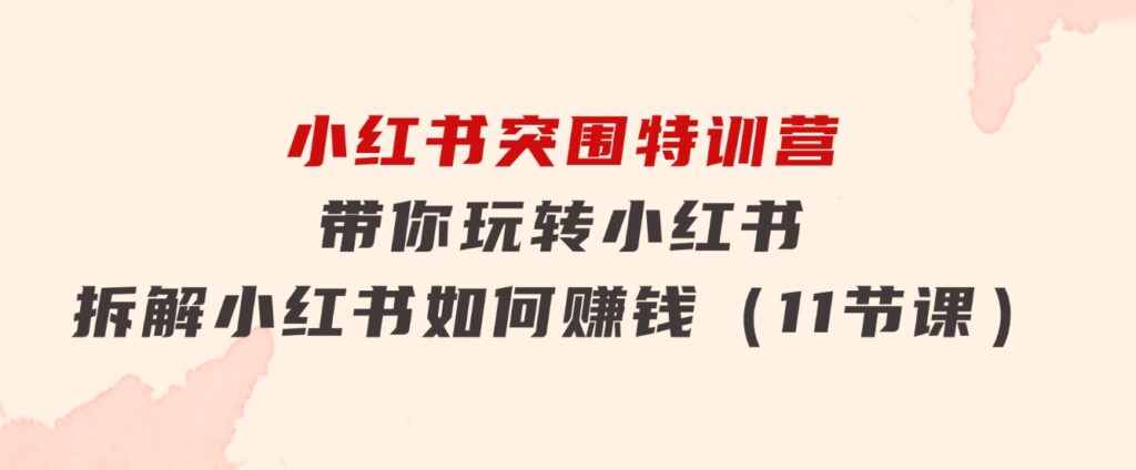 小红书突围特训营，带你玩转小红书，拆解小红书如何赚钱（11节课）-财仔梦想资源网
