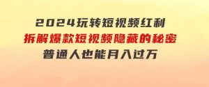 2024玩转短视频红利，拆解爆款短视频隐藏的秘密，普通人也能月入过万-财仔梦想资源网