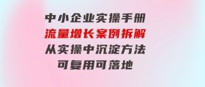 中小企业实操手册-流量增长案例拆解,从实操中沉淀方法,可复用可落地-财仔梦想资源网