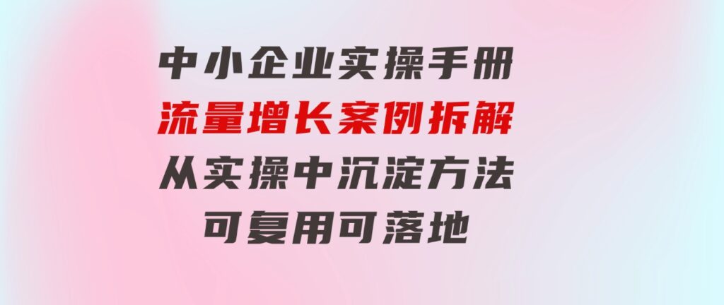 中小企业实操手册-流量增长案例拆解，从实操中沉淀方法，可复用可落地-财仔梦想资源网