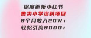深度解析小红书售卖小学资料项目8个月收入20W+轻松引流8000+操作简单…-财仔梦想资源网