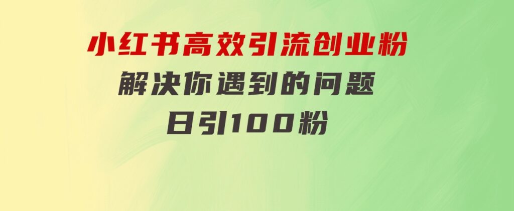 小红书高效引流创业粉，解决你遇到的问题，日引100粉-财仔梦想资源网