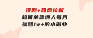 短剧+网盘拉新，超简单，普通人每月躺赚1w+的小副业-财仔梦想资源网