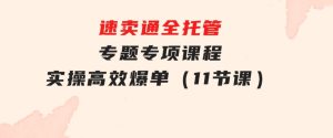 速卖通全托管专题专项课程，实操高效爆单（11节课）-财仔梦想资源网