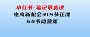 小红书-笔记带货课【6月更新】流量电商新机会315节正课+64节隐藏课-财仔梦想资源网