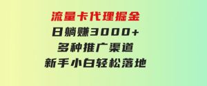 流量卡代理掘金日躺赚3000+多种推广渠道新手小白轻松落地-财仔梦想资源网