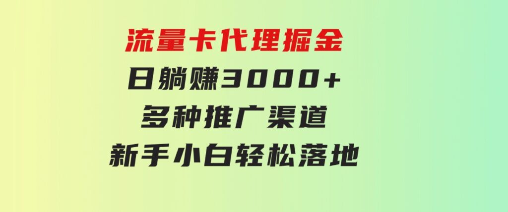 流量卡代理掘金日躺赚3000+多种推广渠道新手小白轻松落地-财仔梦想资源网