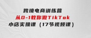 跨境电商训练营：从0-1教你做TikTok小店实操课（17节视频课）-财仔梦想资源网