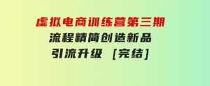 虚拟电商训练营第三期丨流程精简丨创造新品丨引流升级[完结]-财仔梦想资源网