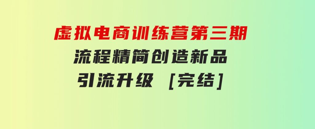 虚拟电商训练营第三期丨流程精简丨创造新品丨引流升级[完结]-财仔梦想资源网
