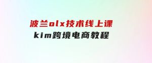 波兰olx技术线上课，kim跨境电商教程-财仔梦想资源网
