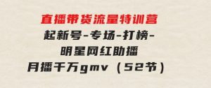 直播带货流量特训营，起新号-专场-打榜-明星网红助播月播千万gmv（52节）-财仔梦想资源网