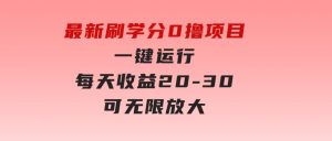 最新刷学分0撸项目，一键运行，每天单机收益20-30，可无限放大-财仔梦想资源网
