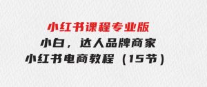 小红书课程专业版，小白，达人，品牌商家，小红书电商教程（15节）-财仔梦想资源网