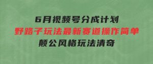 6月视频号分成计划野路子玩法最新赛道操作简单，颠公风格玩法清奇，流…-财仔梦想资源网