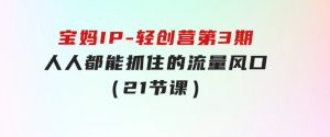 宝妈IP-轻创营第3期，人人都能抓住的流量风口（21节课）-财仔梦想资源网