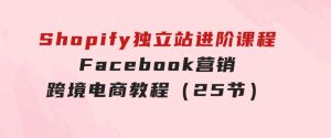 Shopify独立站-进阶课程-Facebook营销-跨境电商教程（25节）-财仔梦想资源网