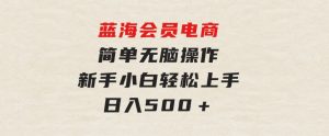 蓝海会员电商简单无脑操作新手小白轻松上手日入500＋-财仔梦想资源网