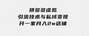 拼多多虚拟-引流技术与私域变现_拼多多教程：开一家月入2w店铺-财仔梦想资源网