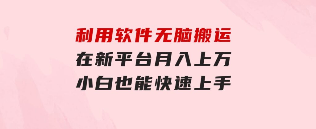 利用软件无脑搬运，在新平台月入上万，小白也能快速上手-财仔梦想资源网