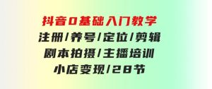 抖音0基础入门教学注册/养号/定位/剪辑/剧本拍摄/主播培训/小店变现/28节-财仔梦想资源网