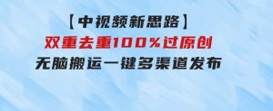 【中视频新思路】双重去重100%过原创，无脑搬运一键多渠道发布-财仔梦想资源网