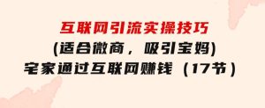 互联网引流实操技巧(适合微商，吸引宝妈)，宅家通过互联网赚钱（17节）-财仔梦想资源网