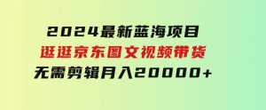 2024最新蓝海项目，逛逛京东图文视频带货，无需剪辑，月入20000+-财仔梦想资源网