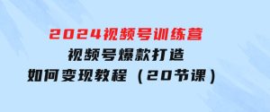 2024视频号训练营，视频号爆款打造，如何变现教程（20节课）-财仔梦想资源网