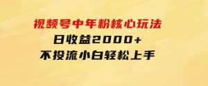 视频号中年粉核心玩法日收益2000+不投流小白轻松上手-财仔梦想资源网