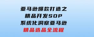【训练营】亚马逊爆款打造之精品开发SOP，系统化洞察亚马逊精品选品全流程-财仔梦想资源网
