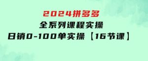 2024拼多多全系列课程实操，日销0-100单实操【16节课】-财仔梦想资源网
