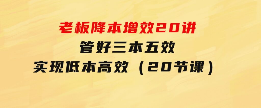 老板降本增效20讲，管好三本五效，实现低本高效（20节课）-财仔梦想资源网